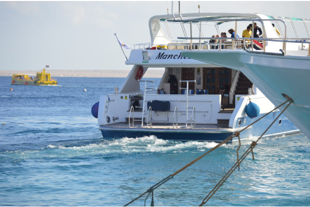 Excursions And Marine Activities
